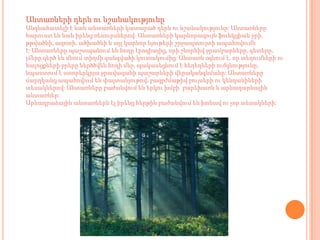 Անտառների դերն ու նշանակությունը
Անգնահատելի է նաև անտառների կատարած դերն ու նշանակությունը: Անտառները
հարուստ են նաև իրենց ռեսուրսներով: Անտառների կարևորագույն ֆունկցիան ջրի,
թթվածնի, ազոտի, ածխածնի և այլ կարևոր նյութերի շրջապտույտի ապահովումն
է: Անտառները պաշտպանում են հողը էրոզիայից, որի շնորհիվ ջրամբարները, գետերը,
լճերը զերծ են մնում տիղմի զանգվածի կուտակումից: Անտառն օգնում է, որ տեղումների ու
հալոցքների ջրերը ներծծվեն հողի մեջ, պակասեցնում է հեղեղների ուժգնությունը,
նպաստում է ստորերկրյա ջրավազանի պաշարների վերականգնմանը: Անտառները
մարդկանց ապահովում են փայտանյութով, բազբժմաթիվ բույսերի ու կենդանիների
տեսակներով: Անտառները բաժանվում են երկու խմբի՝ բարեխառն և արևադարևային
անտառներ:
Արևադրաձային անտառներն էլ իրենց հերթին բաժանվում են խոնավ ու չոր տեսակների:
 