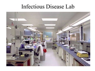 Infectious Disease Lab 