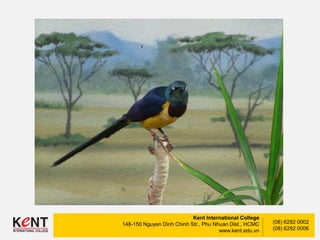 Kent International College
148-150 Nguyen Dinh Chinh Str., Phu Nhuan Dist., HCMC
www.kent.edu.vn
(08) 6292 0002
(08) 6292 0006
 