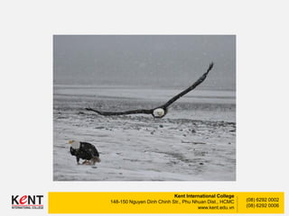 Kent International College
148-150 Nguyen Dinh Chinh Str., Phu Nhuan Dist., HCMC
www.kent.edu.vn
(08) 6292 0002
(08) 6292 0006
 