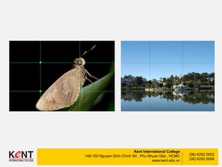 Kent International College
148-150 Nguyen Dinh Chinh Str., Phu Nhuan Dist., HCMC
www.kent.edu.vn
(08) 6292 0002
(08) 6292 0006
 