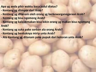 Kentang arab | PPT