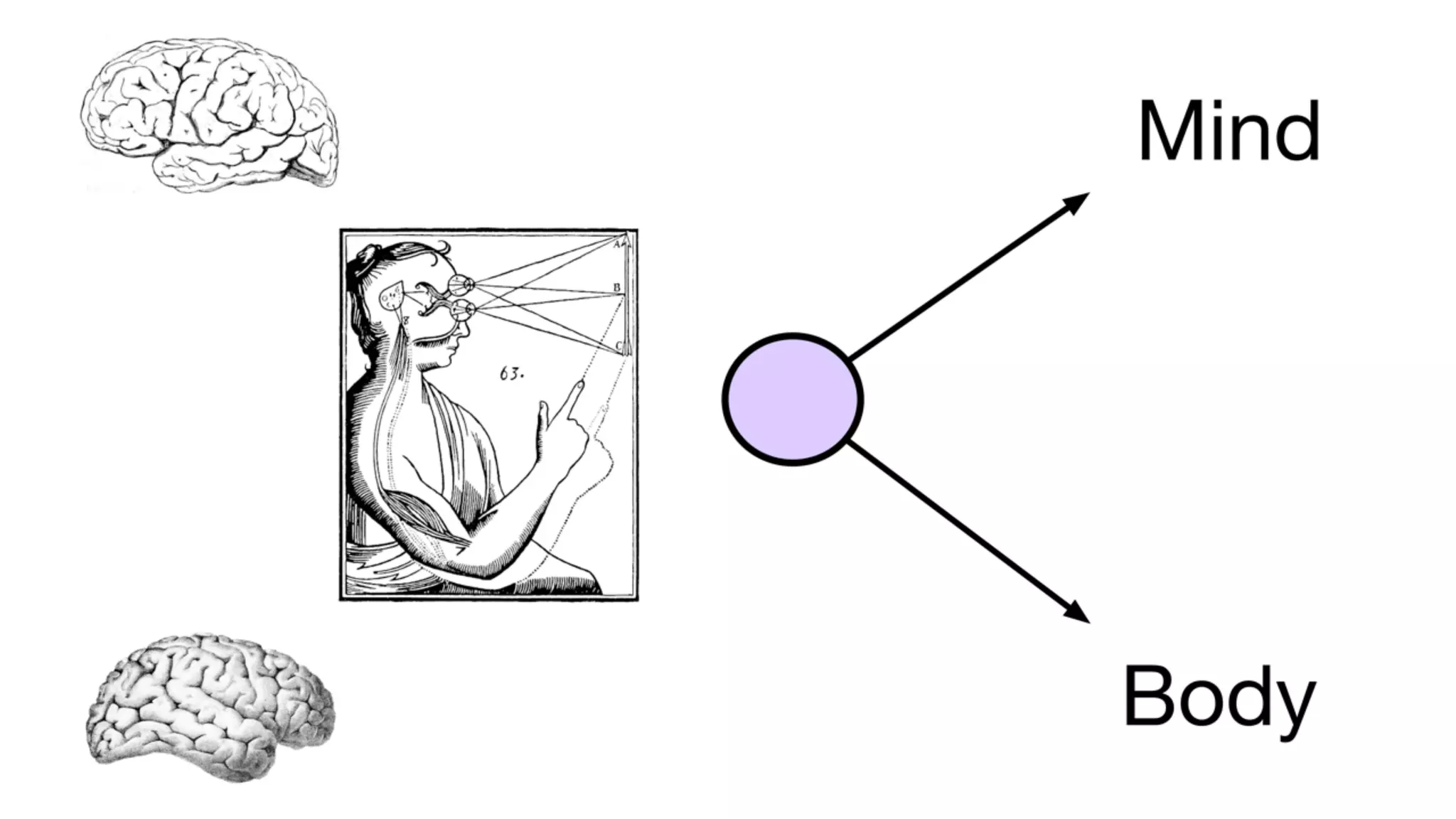 Slide 19