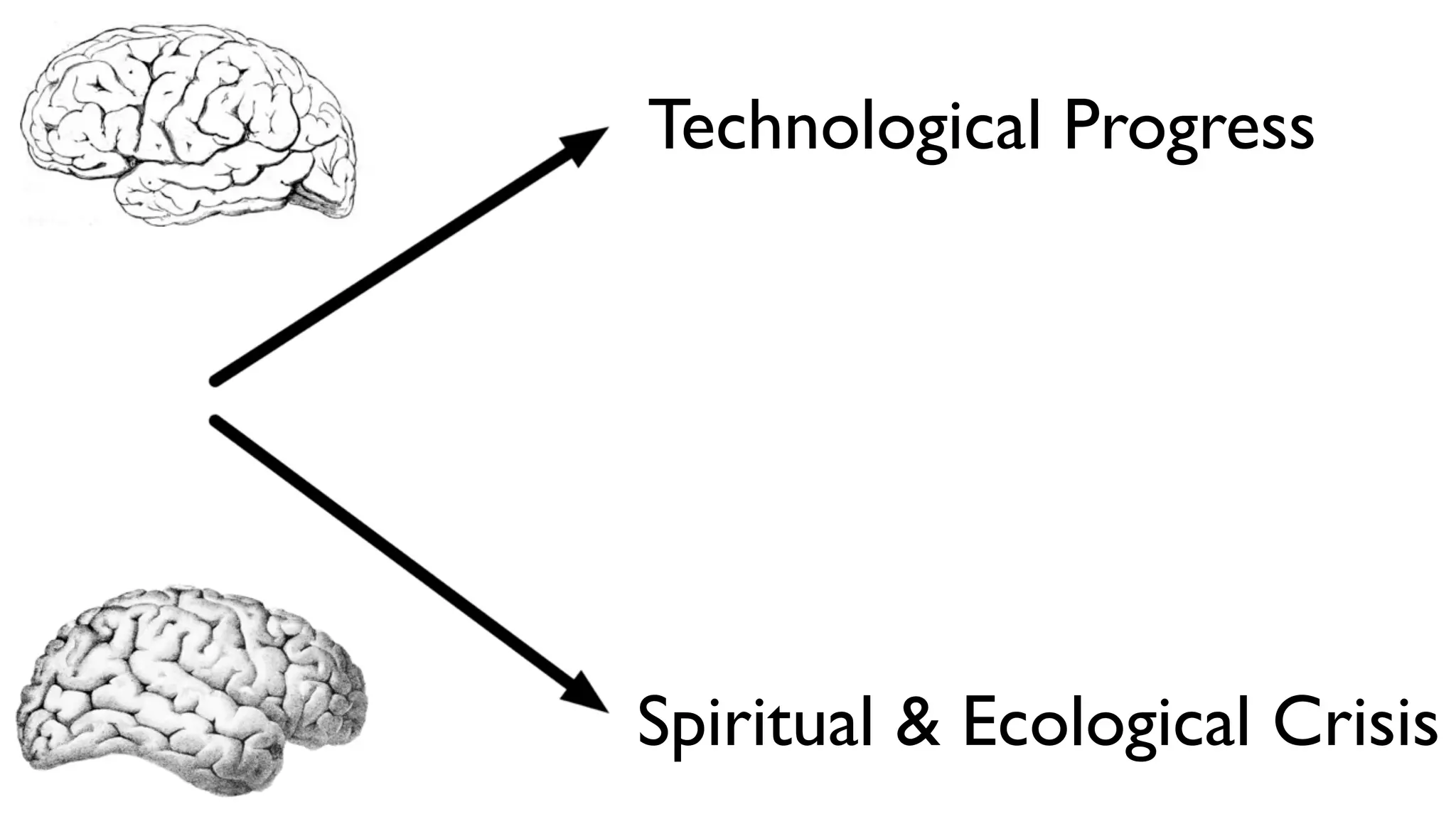 Slide 21
