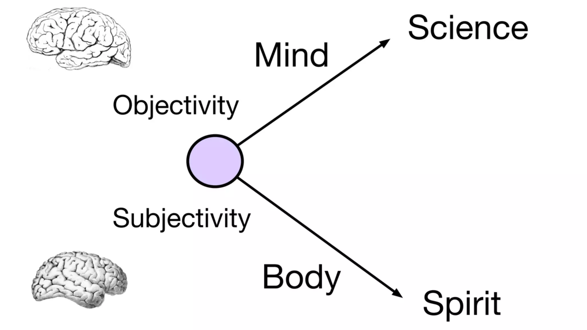Slide 25