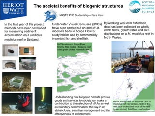 The societal benefits of biogenic structures

                                          MASTS PhD Studentship – Flora Kent


In the first year of this project,   Underwater Visual Censuses (UVCs)         By working with local fishermen,
methods have been developed          have been carried out on and off M.       data has been collected on whelk
for measuring sediment               modiolus beds in Scapa Flow to            catch rates, growth rates and size
accumulation on a Modiolus           study habitat use by commercially         distributions on a M. modiolus reef in
                                     important fish and shellfish.             North Wales.
modiolus reef in Scotland.
                                        UVC locations in Scapa Flow,
                                        Orkney. Red circles = biogenic reef
                                        sites, green circles = control sites




                                      Understanding how biogenic habitats provide
                                      goods and services to society can make a        Whelk fishing sites on the North Llyn M.
                                      contribution to the selection of MPAs as well   modiolus reef (red circles), north of the
                                      as boundary determination, the buy-in of        reef (blue circles) and south of the reef
                                                                                      (green circles). Solid line = reef outline.
                                      stakeholders, sensitive management and the
                                      effectiveness of enforcement.
 