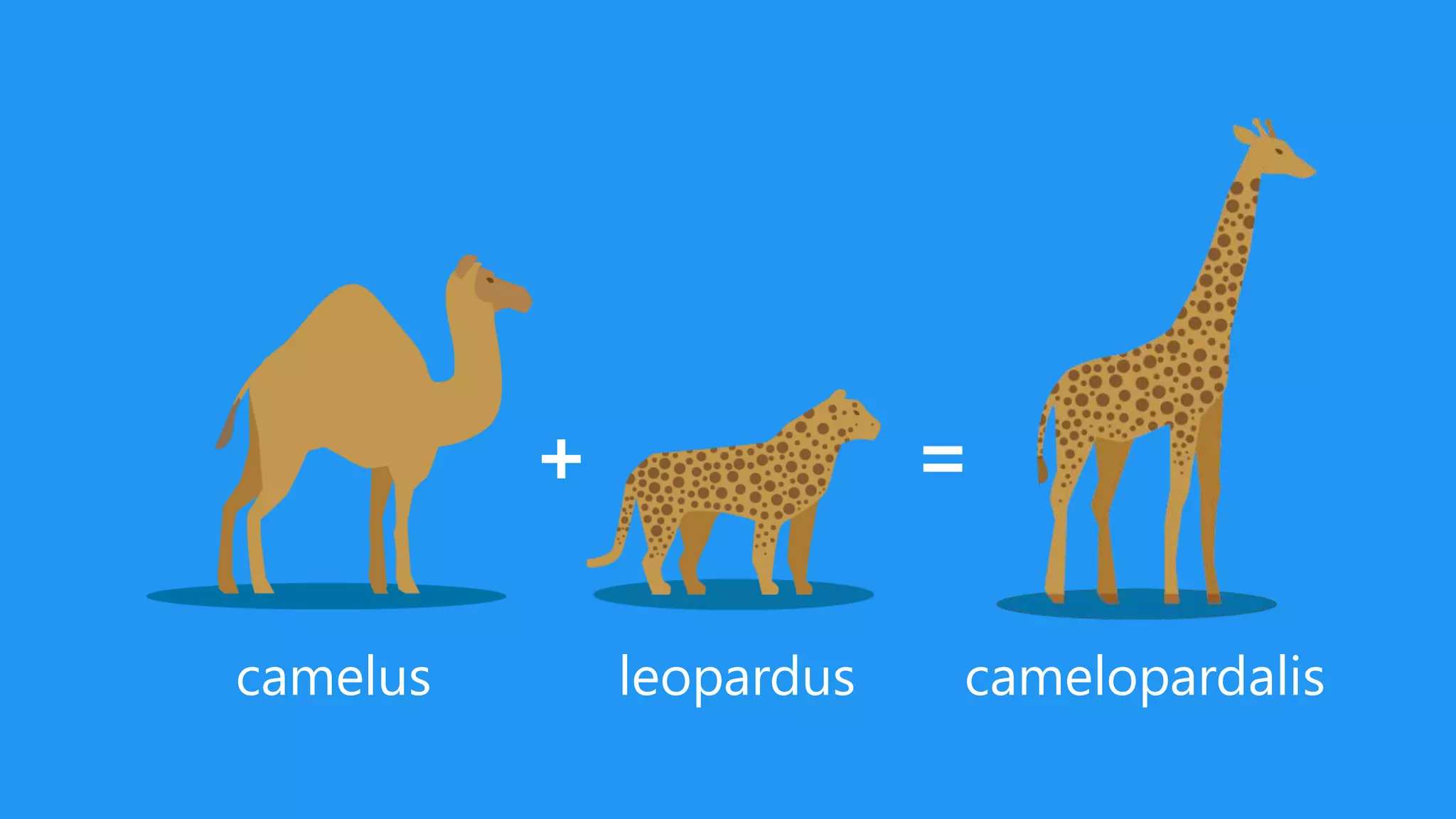 camelopardalis
=+
leoparduscamelus
 