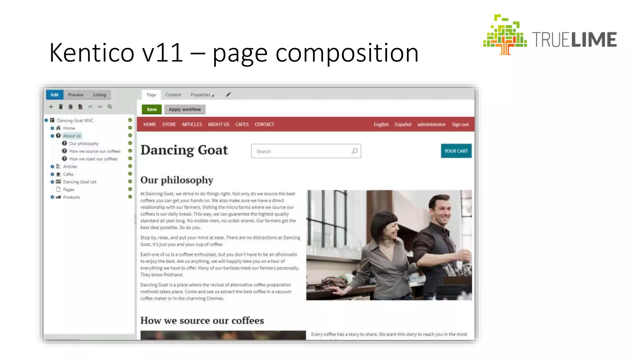 Kentico MVC Widgets | PPT