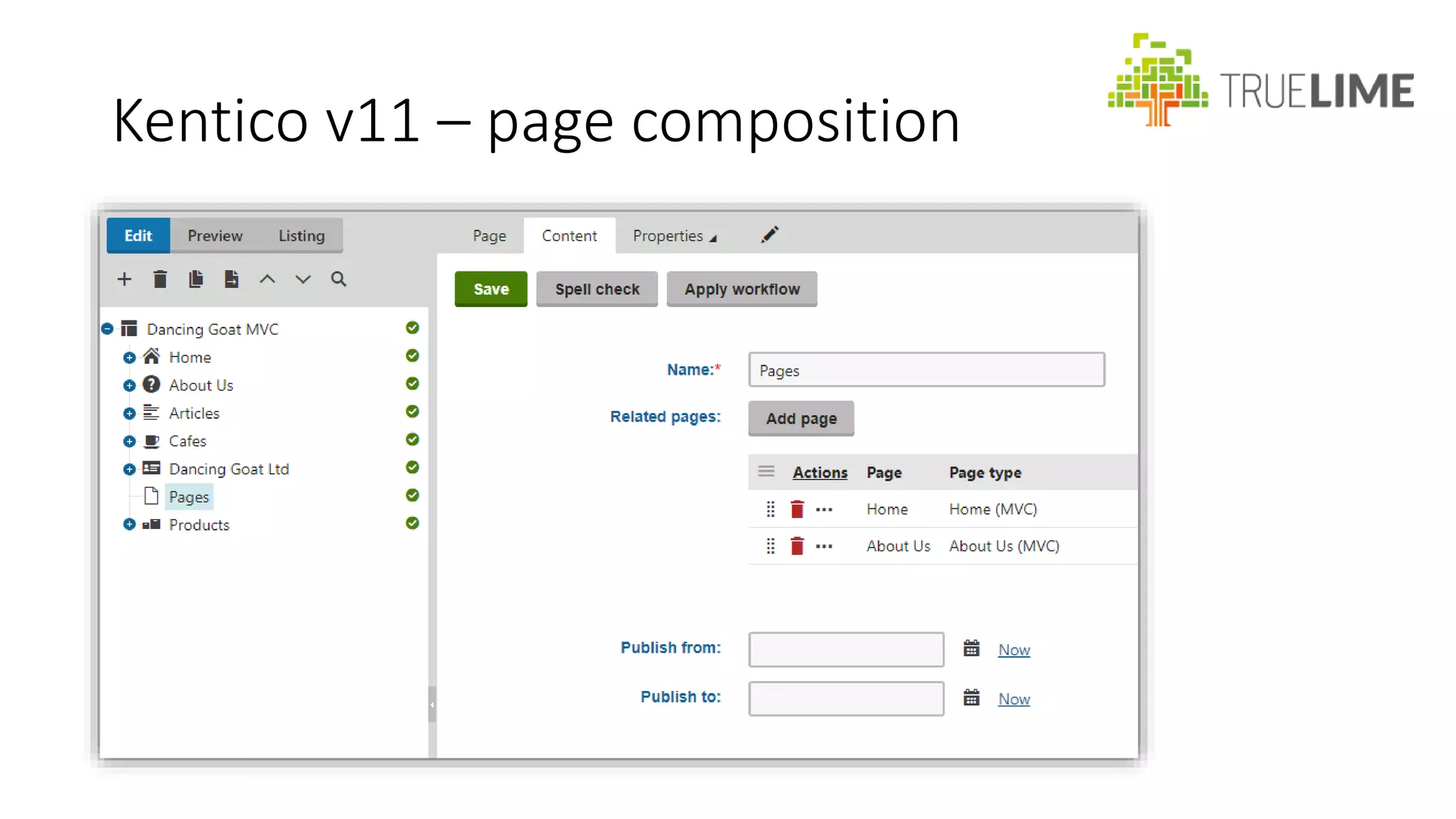 Kentico MVC Widgets | PPT
