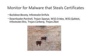 Monitor for Malware that Steals Certificates
 Backdoor.Beasty, Infostealer.Snifula
 Downloader.Parshell, Trojan.Spyeye, W32.Cridex, W32.Qakbot,
Infostealer.Shiz, Trojan.Carberp, Trojan.Zbot
 