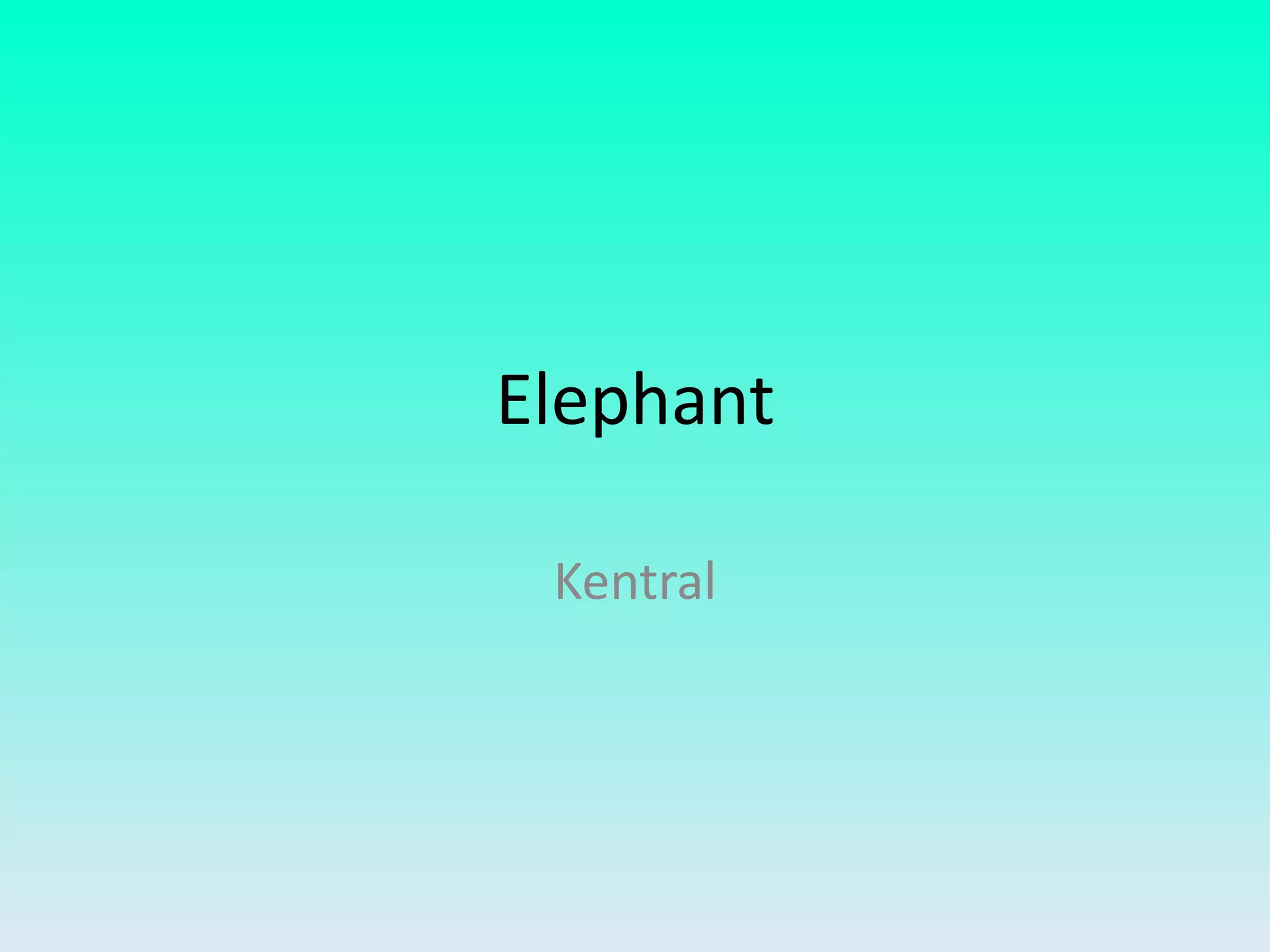 Elephant
Kentral