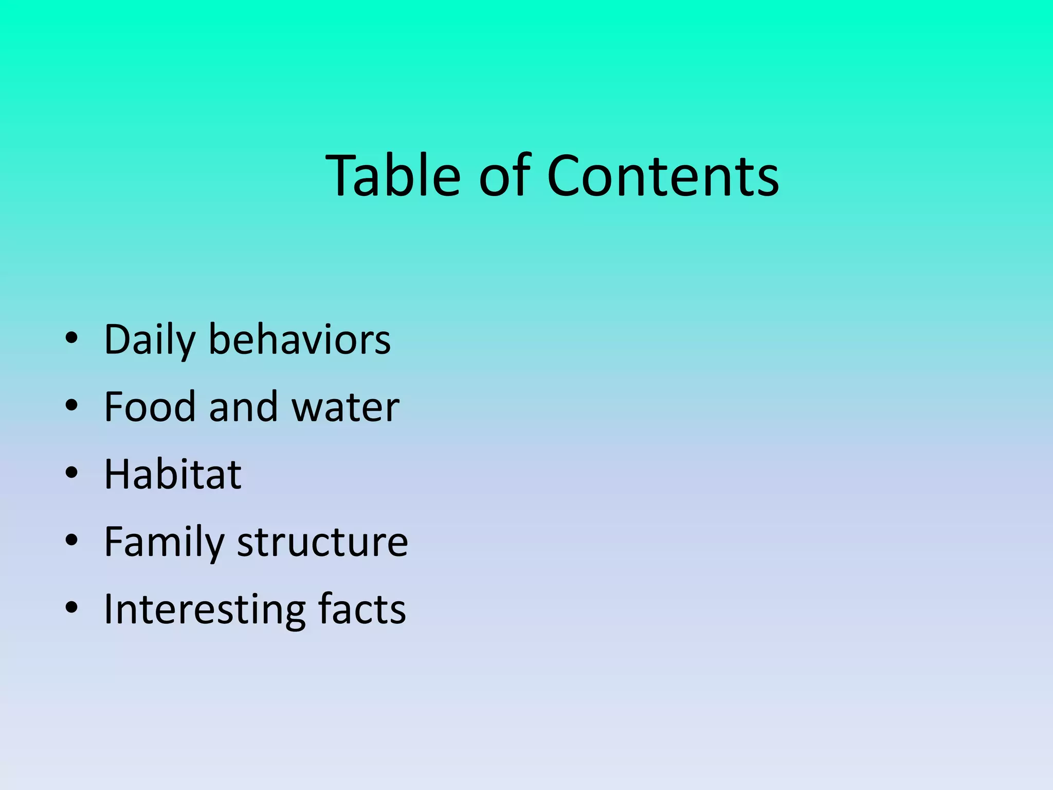 Table of Contents
• Daily behaviors
• Food and water
• Habitat
• Family structure
• Interesting facts