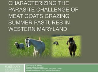 Characterizing the parasite challenge of meat goats grazing summer pastures in Western Maryland,[object Object],SUSAN SCHOENIANSheep &Goat SpecialistWestern Maryland Research & Education Centerwww.sheepandgoat.com – sschoen@umd.edu,[object Object]