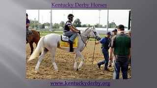 Kentucky Derby Horses




www.kentuckyderby.org
 