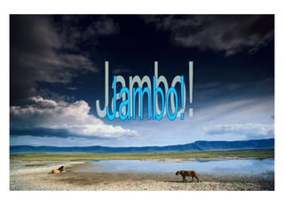 Jambo! 