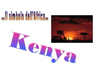 Kenya …Il simbolo dell’Africa… 