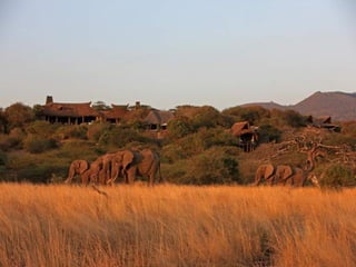 Kenya e suas maravilhas!