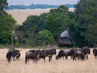 Kenya 