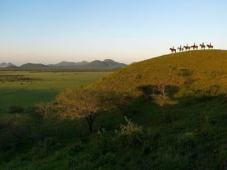 Kenya 