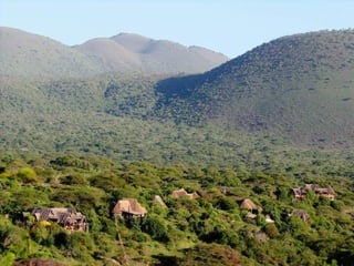 Kenya 