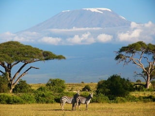 Kenya 
