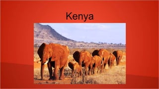 Kenya
 