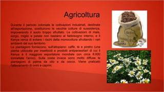 Agricoltura
 