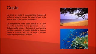 Coste
La linea di costa è generalmente bassa ed
uniforme, appena mossa da qualche baia e da
alcune isole (Pate, Lamu, Mombasa).
La temperatura mite delle acque e la loro
modesta profondità hanno permesso, a poca
distanza dalla costa, il formarsi di una barriera
corallina continua, la quale delimita le lagune
calme e limpide. Ma più al largo i fondali
raggiungono profondità notevoli.
 