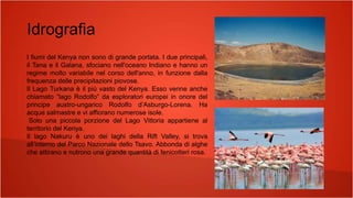 Idrografia
I fiumi del Kenya non sono di grande portata. I due principali,
il Tana e il Galana, sfociano nell'oceano Indiano e hanno un
regime molto variabile nel corso dell'anno, in funzione dalla
frequenza delle precipitazioni piovose.
Il Lago Turkana è il più vasto del Kenya. Esso venne anche
chiamato “lago Rodolfo” da esploratori europei in onore del
principe austro-ungarico Rodolfo d’Asburgo-Lorena. Ha
acque salmastre e vi affiorano numerose isole.
Solo una piccola porzione del Lago Vittoria appartiene al
territorio del Kenya.
Il lago Nakuru è uno dei laghi della Rift Valley, si trova
all’interno del Parco Nazionale dello Tsavo. Abbonda di alghe
che attirano e nutrono una grande quantità di fenicotteri rosa.
 