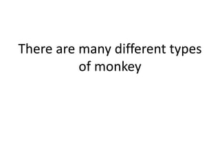 There are many different types
of monkey
 