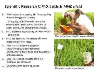 Scientific Research (1 PhD, 4 MSc & MIAD trials)
1.   PhD student is assessing SRI for up-scaling
     in Mwea irrigation ...