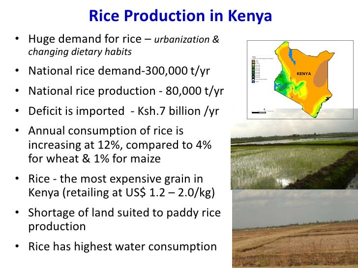 Kenya brief on promoting sri adoptionmati2012