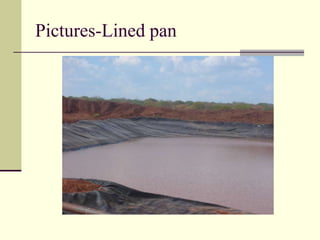 Pictures-Lined pan
 