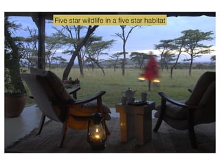 Five star wildlife in a five star habitat
 