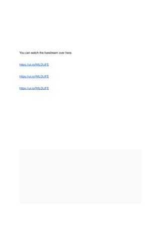 You can watch the livestream over here.
https://uii.io/WILDLIFE
https://uii.io/WILDLIFE
https://uii.io/WILDLIFE
 