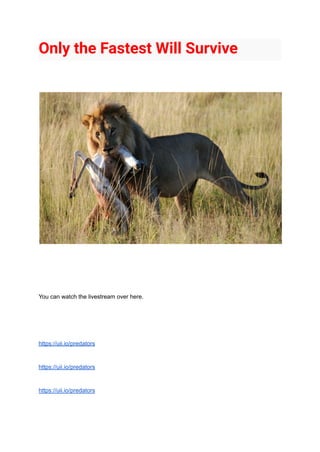 Only the Fastest Will Survive
You can watch the livestream over here.
https://uii.io/predators
https://uii.io/predators
https://uii.io/predators
 