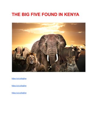 THE BIG FIVE FOUND IN KENYA
https://uii.io/bigfive
https://uii.io/bigfive
https://uii.io/bigfive
 