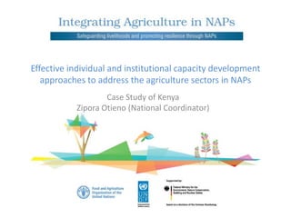 Effective individual and institutional capacity development
approaches to address the agriculture sectors in NAPs
Case Study of Kenya
Zipora Otieno (National Coordinator)
 
