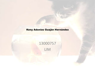 Keny Adonías Guaján Hernández
13000757
LIM
 