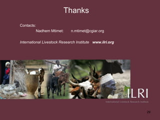 Kenyan milk consumers’ behaviour and perceptions of aflatoxin