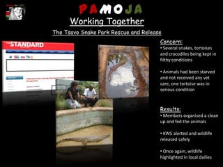 PAMOJA
      Working Together
The Tsavo Snake Park Rescue and Release
                                      Concern:
                                      • Several snakes, tortoises
                                      and crocodiles being kept in
                                      filthy conditions

                                      • Animals had been starved
                                      and not received any vet
                                      care, one tortoise was in
                                      serious condition



                                      Results:
                                      • Members organised a clean
                                      up and fed the animals

                                      • KWS alerted and wildlife
                                      released safely

                                      • Once again, wildlife
                                      highlighted in local dailies
 
