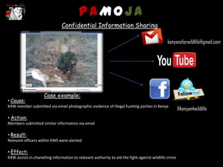 PAMOJA
                               Confidential Information Sharing

                                                                                              kenyansforwildlife@gmail.com




                     Case example:
• Cause:
K4W member submitted via email photographic evidence of illegal hunting parties in Kenya
                                                                                                      @kenyan4wildlife
• Action:
Members submitted similar information via email

• Result:
Relevant officers within KWS were alerted

• Effect:
K4W assists in chanelling information to relevant authority to aid the fight against wildlife crime
 
