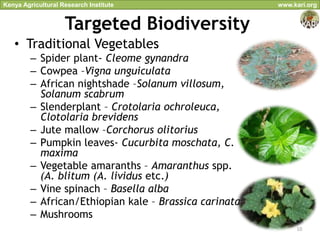Kenya Agricultural Research Institute                   www.kari.org


                    Targeted Biodiversity
   • Traditional Vegetables
         – Spider plant- Cleome gynandra
         – Cowpea –Vigna unguiculata
         – African nightshade –Solanum villosum,
           Solanum scabrum
         – Slenderplant – Crotolaria ochroleuca,
           Clotolaria brevidens
         – Jute mallow –Corchorus olitorius
         – Pumpkin leaves- Cucurbita moschata, C.
           maxima
         – Vegetable amaranths – Amaranthus spp.
           (A. blitum (A. lividus etc.)
         – Vine spinach – Basella alba
         – African/Ethiopian kale – Brassica carinata
         – Mushrooms
                                                             10
 