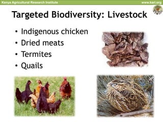 Kenya Agricultural Research Institute   www.kari.org



      Targeted Biodiversity: Livestock
        •   Indigenous chicken
        •   Dried meats
        •   Termites
        •   Quails




                                             12
 