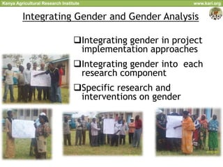 Kenya Agricultural Research Institute                        www.kari.org


         Integrating Gender and Gender Analysis

                                  Integrating gender in project
                                   implementation approaches
                                  Integrating gender into each
                                   research component
                                  Specific research and
                                   interventions on gender
 