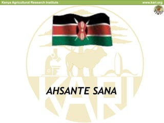 Kenya Agricultural Research Institute       www.kari.org




                             AHSANTE SANA
 