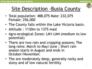 Kenya Agricultural Research Institute              www.kari.org



            Site Description -Busia County
     • Total population: 488,075 Male: 232,075
       Female: 256,000
     • The County falls within the Lake Victoria basin.
     • Altitude : 1130m to 1375 masl
     • Agro-ecological Zones: LM1-LM4 (medium to low
       potential)
     • There are two rain and cropping seasons; The
       long rains: March to May/June ; Short rain
       season starts in August and ends in
       October/November.
     • The are moderately deep, generally rocky and
       stony and of low natural fertility
                                                         7
 