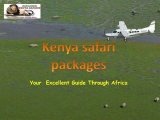 Your Excellent Guide Through Africa
 