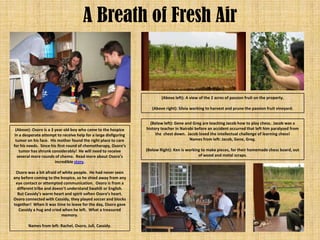 A Breath of Fresh Air


                                                                          (Above left): A view of the 2 acres of passion fruit on the property.

                                                                     (Above right): Silvia working to harvest and prune the passion fruit vineyard.


                                                                    (Below left): Gene and Greg are teaching Jacob how to play chess. Jacob was a
  (Above): Osoro is a 3 year old boy who came to the hospice      history teacher in Nairobi before an accident occurred that left him paralyzed from
 in a desperate attempt to receive help for a large disfiguring        the chest down. Jacob loved the intellectual challenge of learning chess!
  tumor on his face. His mother found the right place to care                             Names from left: Jacob, Gene, Greg.
for his needs. Since his first round of chemotherapy, Osoro’s
    tumor has shrunk considerably! He will need to receive        (Below Right): Ken is working to make pieces, for their homemade chess board, out
   several more rounds of chemo. Read more about Osoro’s                                      of wood and metal scraps.
                        incredible story.

 Osoro was a bit afraid of white people. He had never seen
any before coming to the hospice, so he shied away from any
 eye contact or attempted communication. Osoro is from a
  different tribe and doesn’t understand Swahili or English.
  But Cassidy’s warm heart and spirit soften Osoro’s heart.
Osoro connected with Cassidy, they played soccer and blocks
together! When it was time to leave for the day, Osoro gave
   Cassidy a hug and cried when he left. What a treasured
                          memory.

        Names from left: Rachel, Osoro, Juli, Cassidy.
 