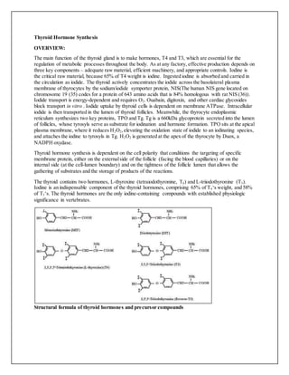 Thyroid Hormone Synthesis
OVERVIEW:
The main function of the thyroid gland is to make hormones, T4 and T3, which are essential for the
regulation of metabolic processes throughout the body. As at any factory, effective production depends on
three key components – adequate raw material, efficient machinery, and appropriate controls. Iodine is
the critical raw material, because 65% of T4 weight is iodine. Ingested iodine is absorbed and carried in
the circulation as iodide. The thyroid actively concentrates the iodide across the basolateral plasma
membrane of thyrocytes by the sodium/iodide symporter protein, NIS(The human NIS gene located on
chromosome 19 (35) codes for a protein of 643 amino acids that is 84% homologous with rat NIS (36)).
Iodide transport is energy-dependent and requires O2. Ouabain, digitoxin, and other cardiac glycosides
block transport in vitro . Iodide uptake by thyroid cells is dependent on membrane ATPase. Intracellular
iodide is then transported in the lumen of thyroid follicles. Meanwhile, the thyrocyte endoplasmic
reticulum synthesizes two key proteins, TPO and Tg. Tg is a 660kDa glycoprotein secreted into the lumen
of follicles, whose tyrosyls serve as substrate for iodination and hormone formation. TPO sits at the apical
plasma membrane, where it reduces H2O2,elevating the oxidation state of iodide to an iodinating species,
and attaches the iodine to tyrosyls in Tg. H2O2 is generated at the apex of the thyrocyte by Duox, a
NADPH oxydase.
Thyroid hormone synthesis is dependent on the cell polarity that conditions the targeting of specific
membrane protein, either on the externalside of the follicle (facing the blood capillaries) or on the
internal side (at the cell-lumen boundary) and on the tightness of the follicle lumen that allows the
gathering of substrates and the storage of products of the reactions.
The thyroid contains two hormones, L-thyroxine (tetraiodothyronine, T4) and L-triiodothyronine (T3).
Iodine is an indispensable component of the thyroid hormones, comprising 65% of T4‘s weight, and 58%
of T3‘s. The thyroid hormones are the only iodine-containing compounds with established physiologic
significance in vertebrates.
Structural formula of thyroid hormones and precursor compounds
 